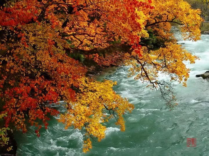 天進(jìn)儀器 天進(jìn)儀器