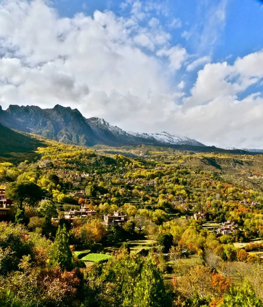 天進(jìn)儀器 天進(jìn)儀器