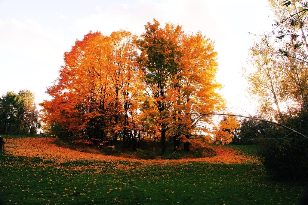 天進(jìn)儀器 天進(jìn)儀器