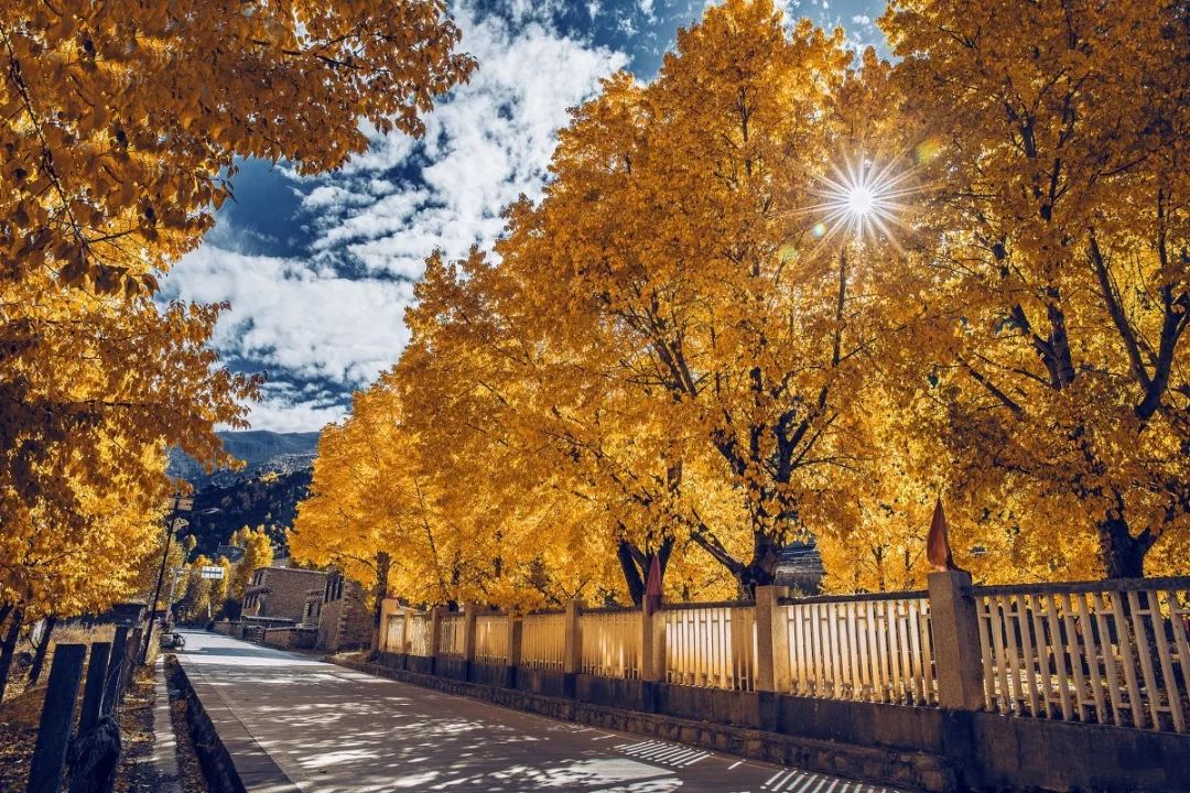 天進(jìn)儀器 天進(jìn)儀器