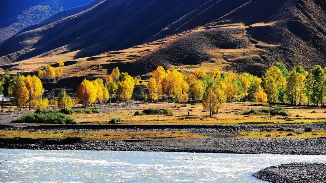 天進(jìn)儀器 天進(jìn)儀器