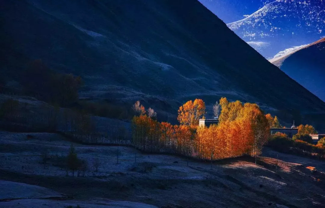 天進(jìn)儀器 天進(jìn)儀器