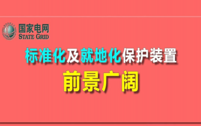 楊國生：標準化及就地化保護裝置前景廣闊